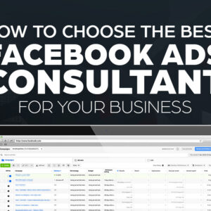 Facebook Ads Consultant